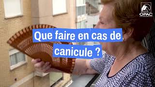 🌡️ Canicule - Comment vous protéger au mieux ?