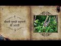 Tulsi Krishna Preyasi Namo Namaha | ISKCON Temple Songs