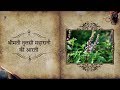Tulsi Krishna Preyasi Namo Namaha ISKCON Temple Songs