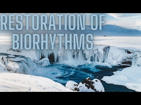 Best healing music | restoration of biorhythms | meditation