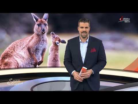 Servus Am Abend - 20/09/22