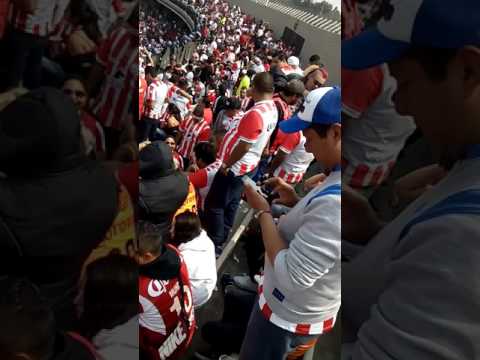 "Comando rojiblanco en CU 2017" Barra: Comando Rojiblanco • Club: Club Necaxa