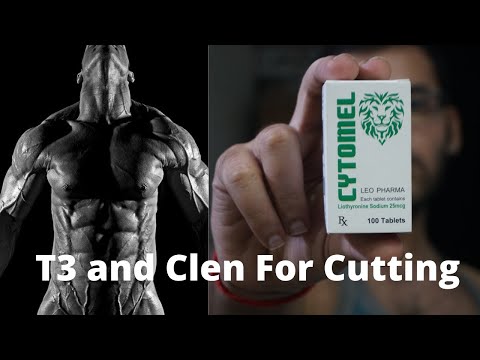 Leo Pharma T3, 100 TABS