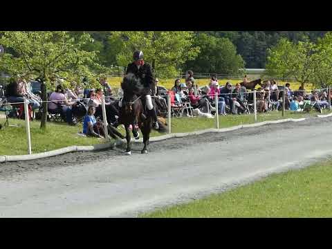 Spóliant vom Lipperthof Fünfgang Bayerische Meisterschaft 2019