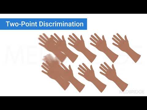 Upper Extremity Assessment: Elbow to Hand - Mike Szekeres | MedBridge