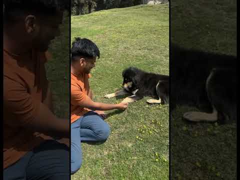 Travel Compilation Short Video #reels #travel