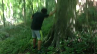 The Baylen Files - Video Diary: The Lost Tapes #328