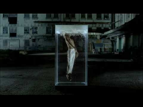 Unkle feat. Ian Brown - Reign (DVD)
