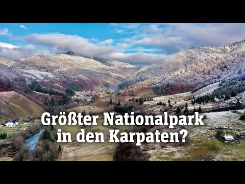Größter Nationalpark in den Karpaten?: Der Yellowstone Europas | SPIEGEL TV für ARTE Re: