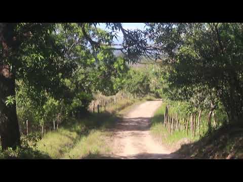 De paseo las palmas de veraguas