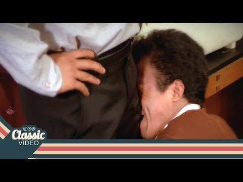 "New Highlight" Pintar Pintar Bodoh - Burungnya Indro Diseruduk