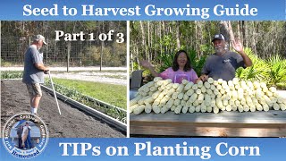 How to Grow Corn, Seed to Harvest (Part 1 of 3)
