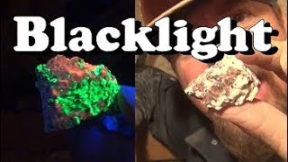 BLACKLIGHT GOLD MINING !!! It Can Be Done . ask Jeff Williams