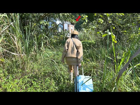 Hän maksoi 9 500 euroa 20 vuotta hylätystä talosta – ja odottamaton loppu