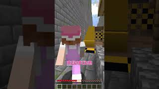 暴走列車から逃げろ #マインクラフト #ちろぴの