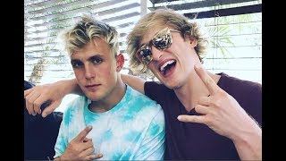 Help Me Help You Roblox Music Code Th Clip - 