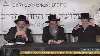 קול ההלכה | פאנל עם האדמו"ר משבט הלוי שליט"א והרה"ג אהרון דוד נוישטאט שליט"א | מתוך שבת גדלנו 5