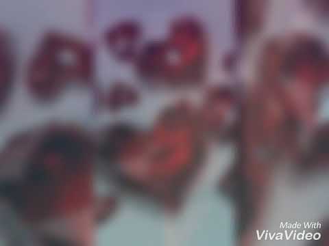 Elena Parishewa kavur purvata poslednata(remix)👌👊