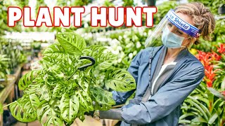 Come Plant Shopping With Me: A Behind-the-Scenes Nursery Adventure