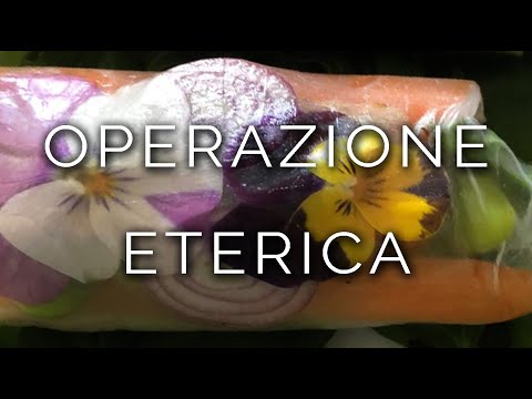 1053-IT Antonio, OPERAZIONE ETERICA - Ipnosi Esoterica ∞ Lucio Carsi