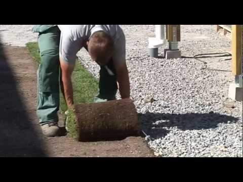 Mälarturf AB - Anläggning och skötsel av färdig gräsmatta