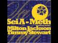 Sei A Meth Timmy Stewart Rmx