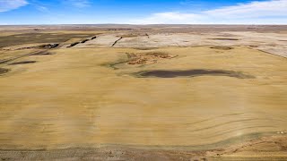 1 Quarter of Grainland For Sale Near Mossbank, SK - RM of Terrell 101