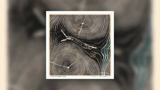 State I&#39;m In - NEEDTOBREATHE