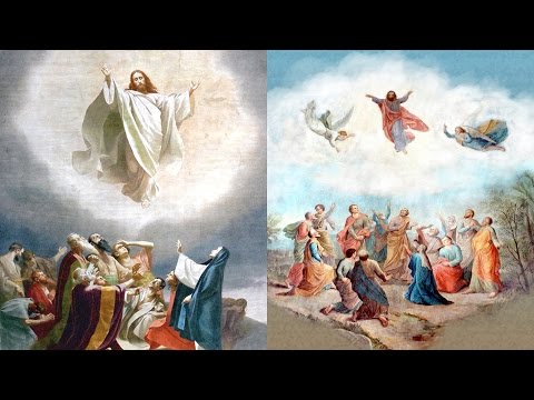 172 Vaznesenje - Harmonija Evanđelja