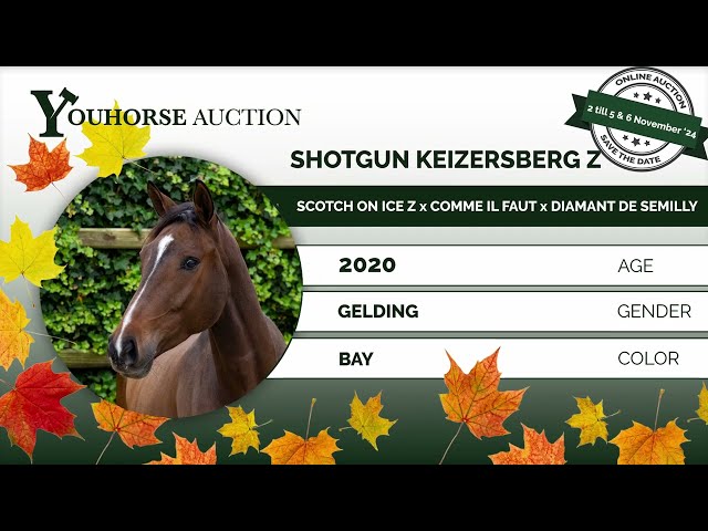 Shotgun Keizersberg