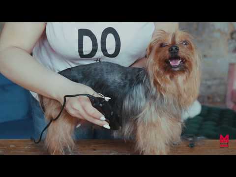 Миниатюра изображения товара Машинка для стрижки шерсти Moser Rex mini 1411-0060 / 1411-0062