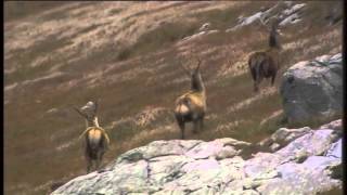 An Ataireachd Ard - A Video by ScotlandsDNA