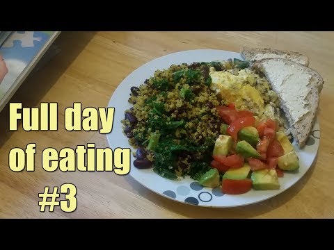Full Day of Eating #3 - Abnormal Beings Diet