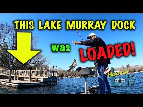 This Lake Murray Dock Was Loaded!