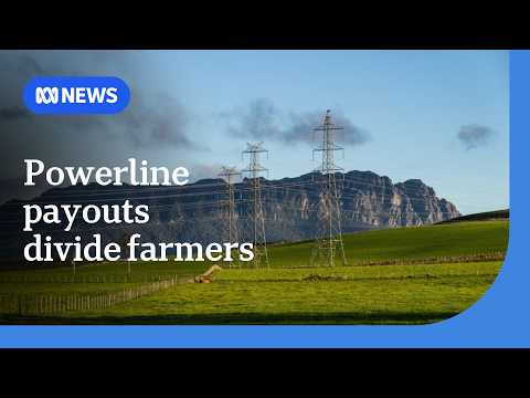 Farmers divided over Marinus Link powerline payouts | ABC News