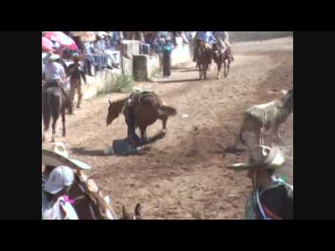 Lo mejor de los coleaderos 2010