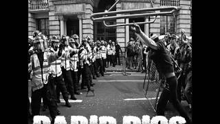 Rabid Pigs - Split 7&quot; w/ Grin And Bear It [2014]