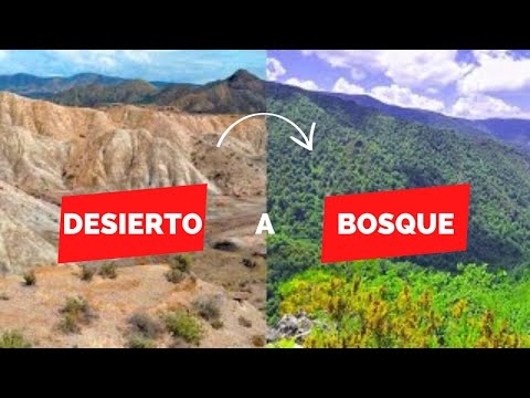 Reverdeciendo El Desierto España