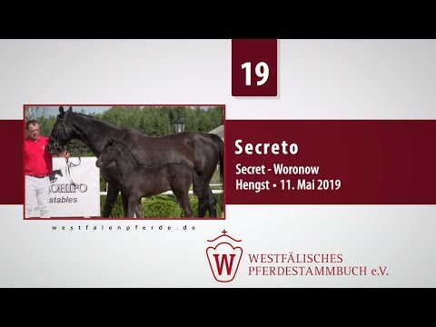 19 Secreto HF v. Secret - Woronow
