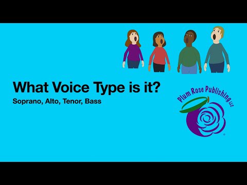 Voice Types Quiz (Soprano, Alto, Tenor, and Bass) by Plum Rose Publishing