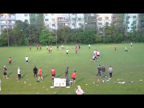 SUDT 2016 Freespeed Basel vs. Crazy Dogs Stans - from brick to endzone with patience