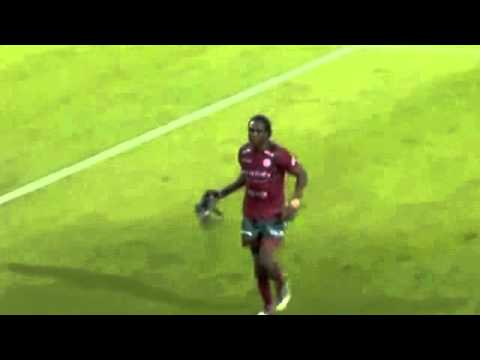 Fågelturken på ny mark (The bird turk on new grounds)