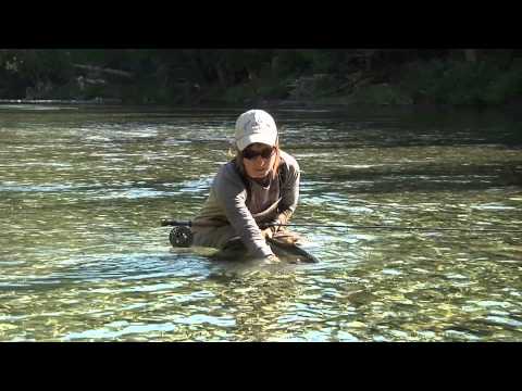 La remise à l'eau - Fédération québecoise pour le saumon atlantique/Fédératio