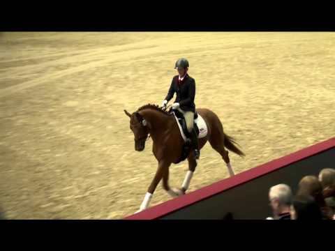 Quanta Costa Hengstpräsentation 2016