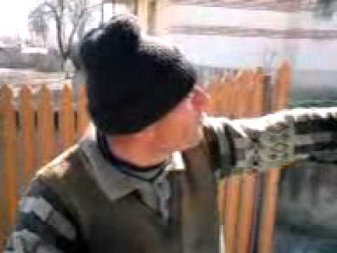 fanica de la zavoaia in fortza.3GP