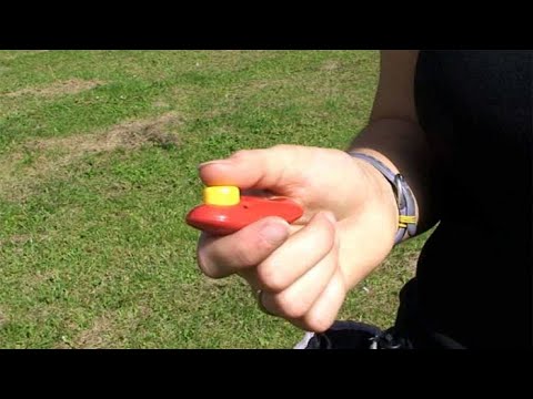 Clicker Training basics