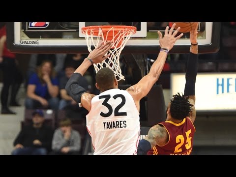 Edy Tavares 2016-17 NBA D-League Defensive Player of the Year Highlights