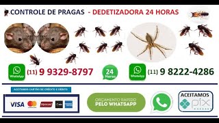 preview picture of video 'Dedetizadora Jacanã,11 2807-7715,Desentupidora Vila Medeiros'