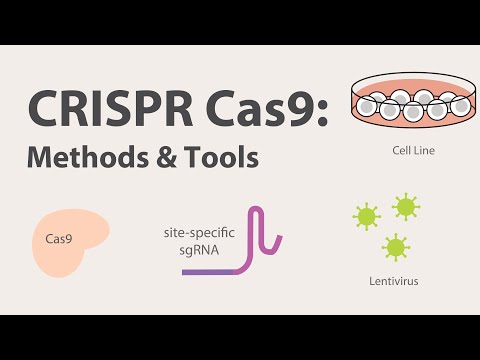 2) CRISPR Cas9 - Methods and Tools Video