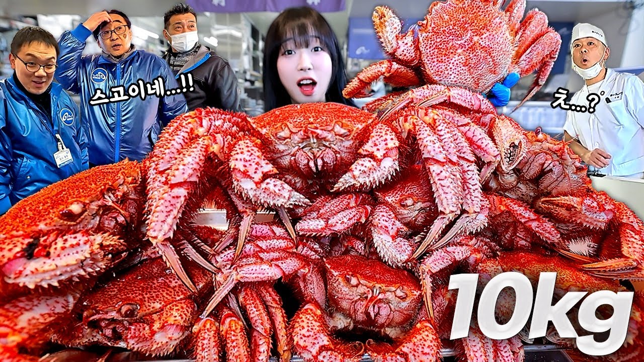 삿포로1탄) 총 xxx만원..😱 털게 11마리 10KG 털었습니다! 일본 수산시장 초토화